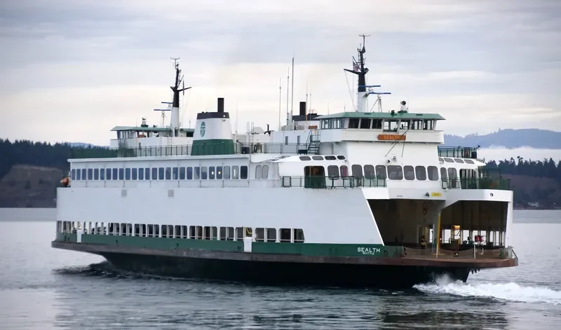 SEALTH Ro-Ro IMO 7808152 photo 6