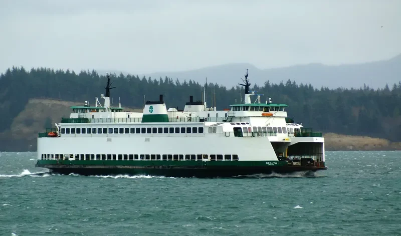SEALTH Ro-Ro IMO 7808152 photo 9