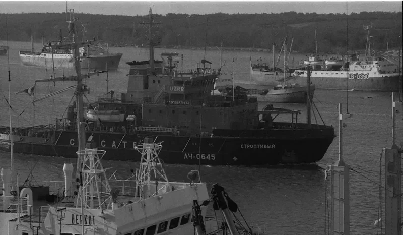 YM SHANGHAI Tug Boat IMO 7808267 photo 3