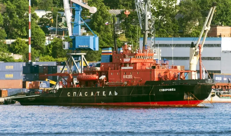 SUVOROVETS General Cargo IMO 7808293 photo 5