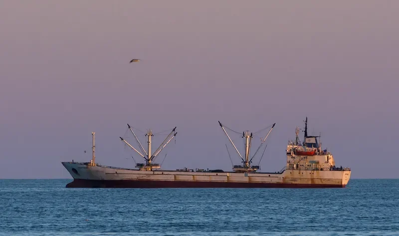 PLUTONAS General Cargo IMO 7808322