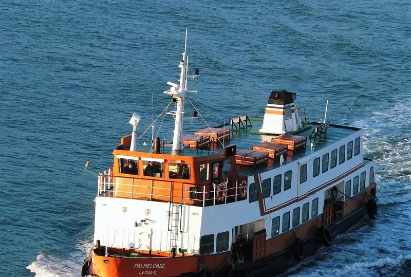 PALMELENSE Passenger Ship IMO 7808683 photo 2
