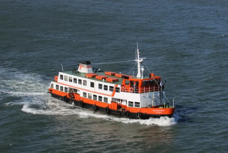 PALMELENSE Passenger Ship IMO 7808683 photo 3
