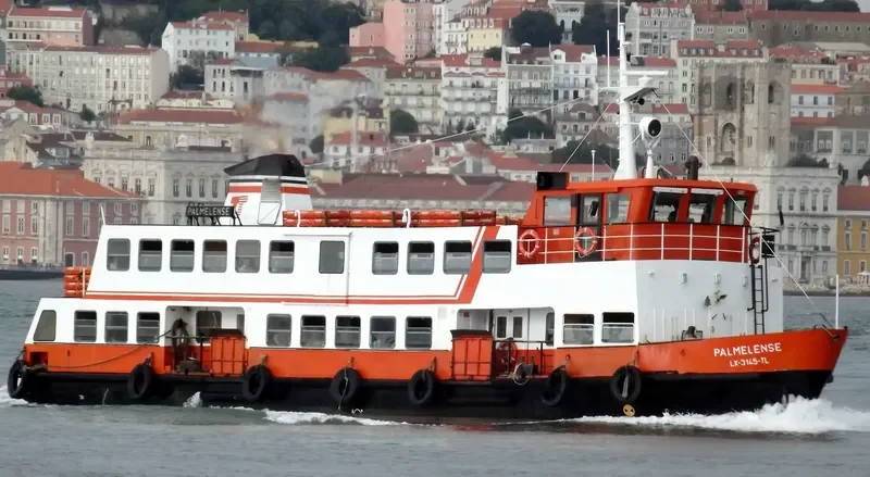PALMELENSE Passenger Ship IMO 7808683 photo 7