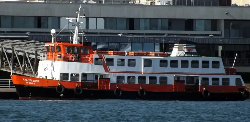 PALMELENSE Passenger Ship IMO 7808683 photo 9