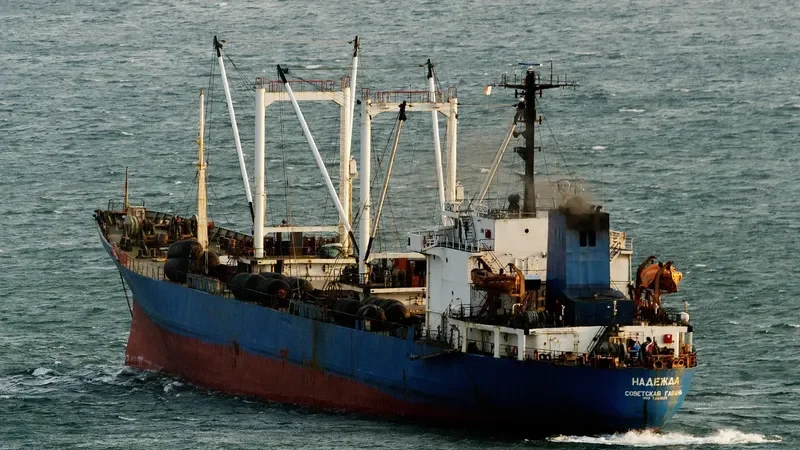 NADEZHDA General Cargo IMO 7809106 photo 5