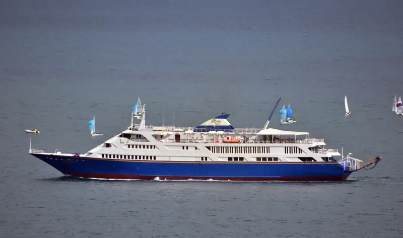 ANNA MARU Passenger Ship IMO 7809297 photo 10