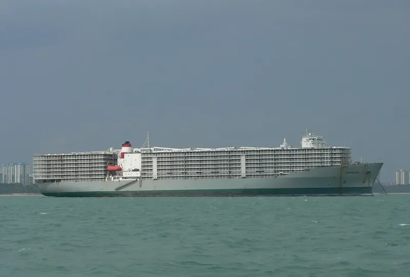 OCEAN SHEARER General Cargo IMO 7810935