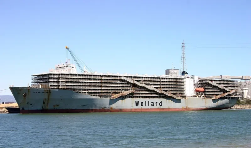 OCEAN SHEARER General Cargo IMO 7810935 photo 3