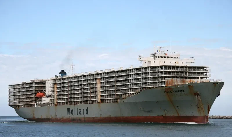 OCEAN SHEARER General Cargo IMO 7810935 photo 4