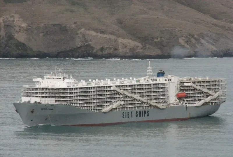OCEAN SHEARER General Cargo IMO 7810935 photo 6