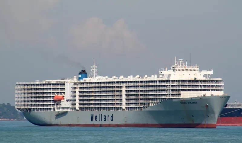 OCEAN SHEARER General Cargo IMO 7810935 photo 7
