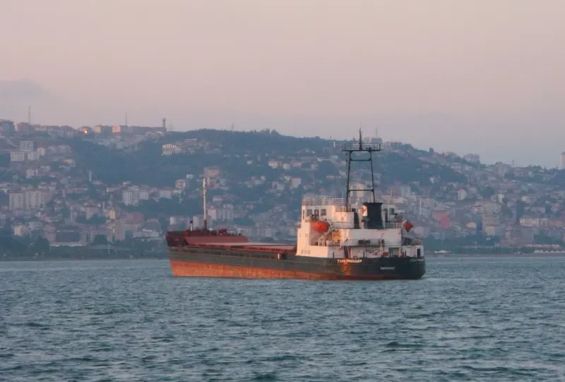 SIBERIN 1 General Cargo IMO 7811020 photo 5