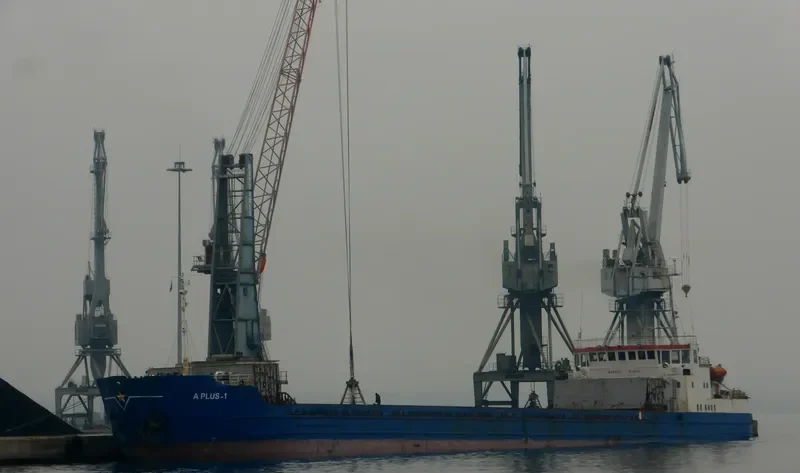 A PLUS 1 General Cargo IMO 7811032 photo 3
