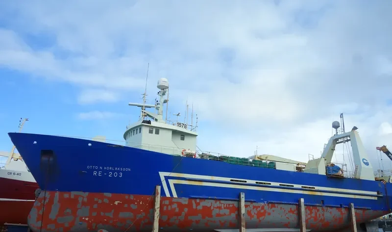 OTTO NO.THORLAKSSON General Cargo IMO 7811214 photo 7