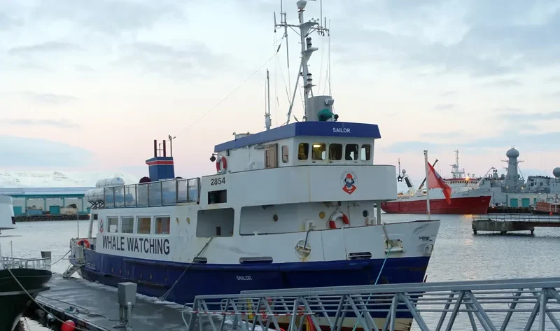SAILOR Passenger Ship IMO 7811240