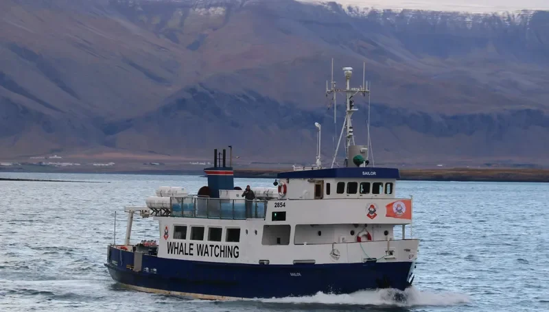 SAILOR Passenger Ship IMO 7811240 photo 4