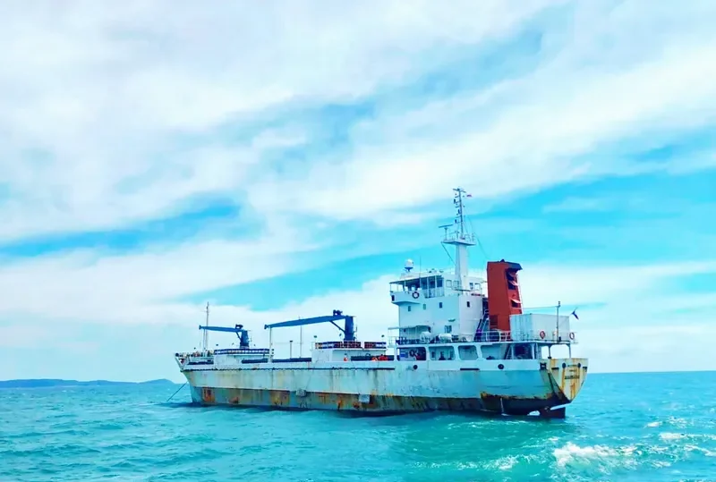EXPRESS 6 General Cargo IMO 7811513