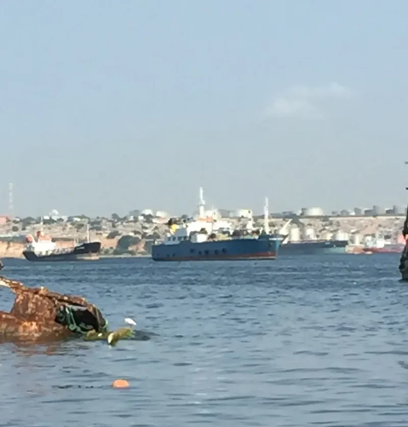 V CENTENARIO General Cargo IMO 7812012 photo 2