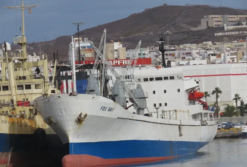 NEVSKIY General Cargo IMO 7812036
