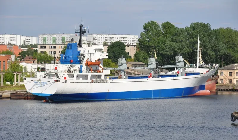 NEVSKIY General Cargo IMO 7812036 photo 7