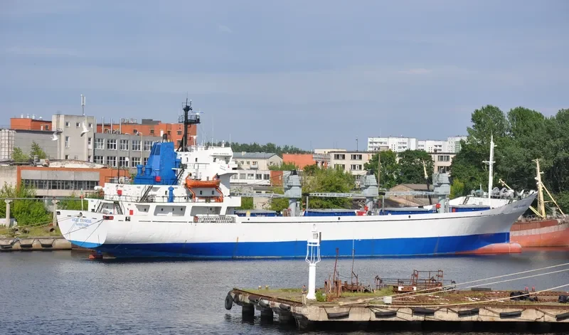 NEVSKIY General Cargo IMO 7812036 photo 8