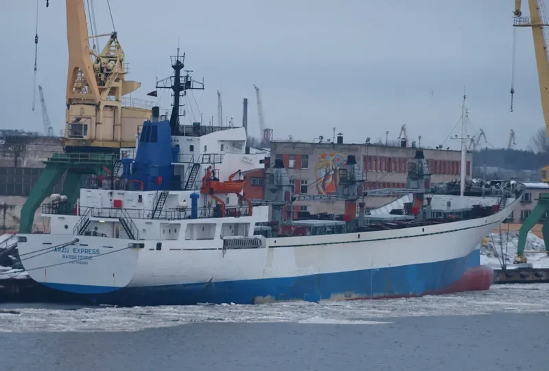 NEVSKIY General Cargo IMO 7812036 photo 10