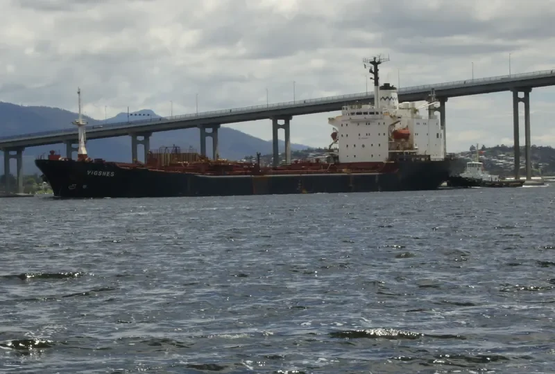 VIGSNES Bulk Carrier IMO 7812220 photo 7