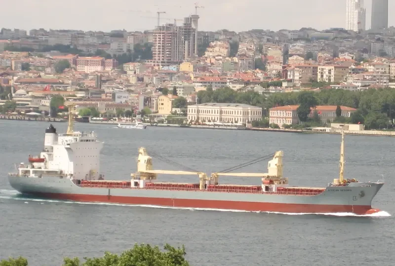 ABDOUL STAR Bulk Carrier IMO 7812464 photo 5