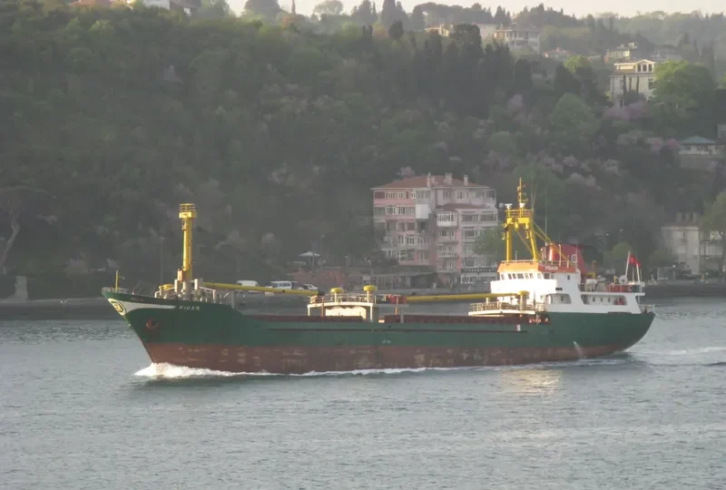 ALIMAR I General Cargo IMO 7812763 photo 4
