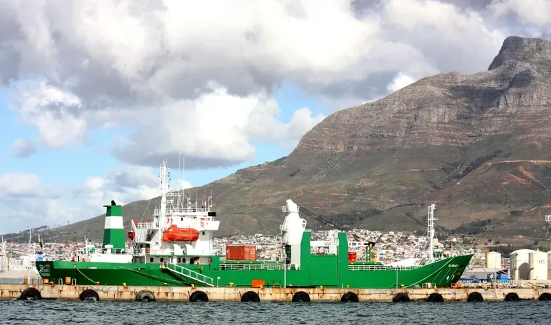 ALIMAR I General Cargo IMO 7812763 photo 6