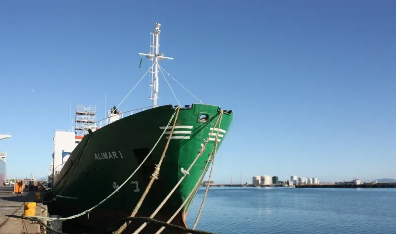 ALIMAR I General Cargo IMO 7812763 photo 10