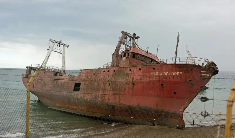 MARIA DOLORES General Cargo IMO 7813078
