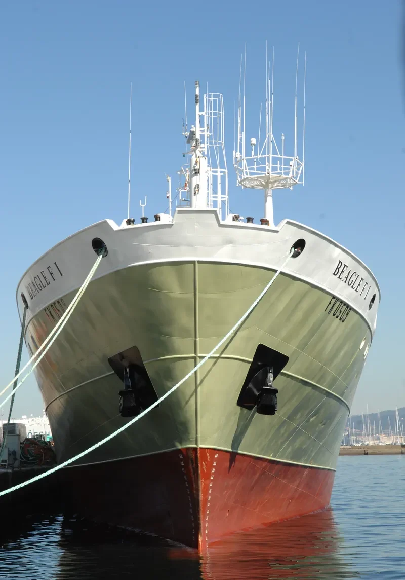 BEAGLE F.I. General Cargo IMO 7813119 photo 4