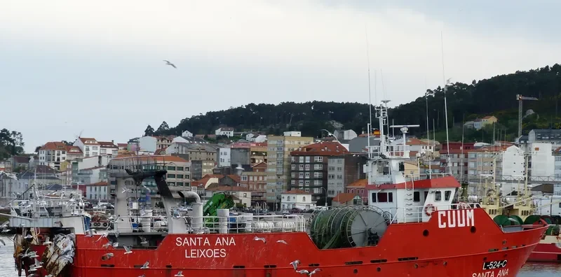 SANTA ANA Fishing Vessel IMO 7813303 photo 3