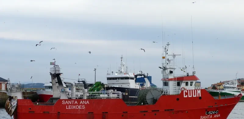 SANTA ANA Fishing Vessel IMO 7813303 photo 4