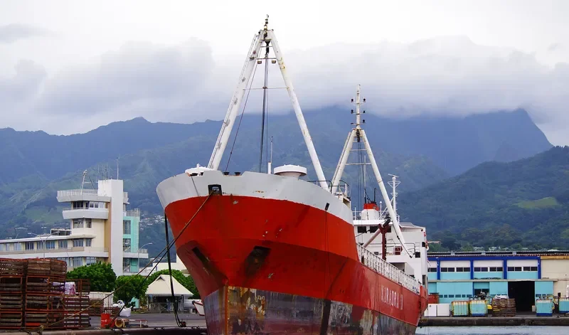 KURA ORA II General Cargo IMO 7813391 photo 2