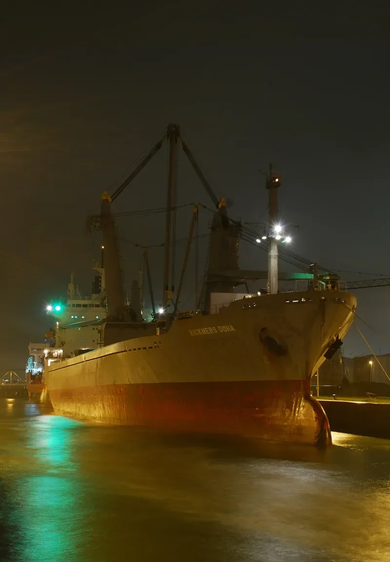 TARPON CLIPPER General Cargo IMO 7813573 photo 4