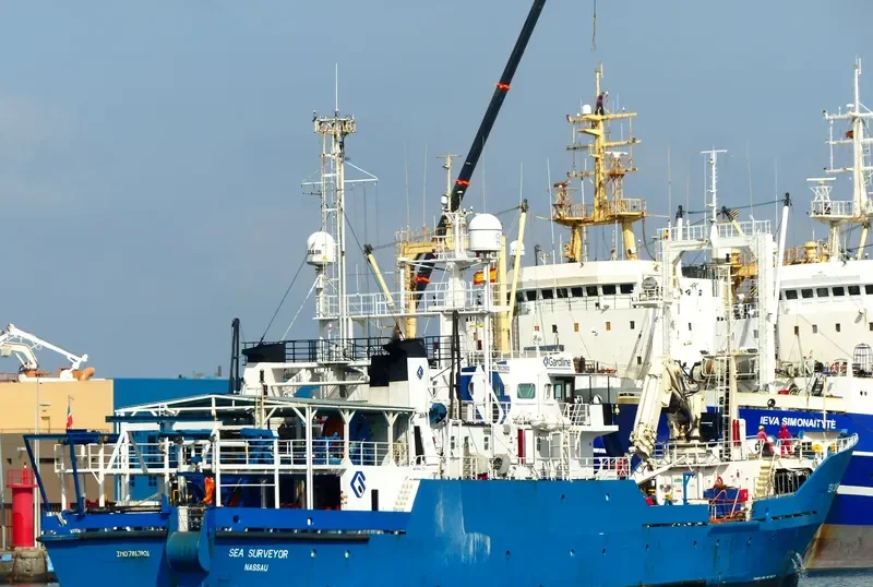 SEA SURVEYOR General Cargo IMO 7813901 photo 8