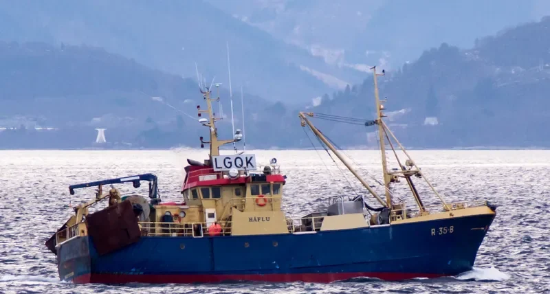 HAFLU General Cargo IMO 7814266 photo 2