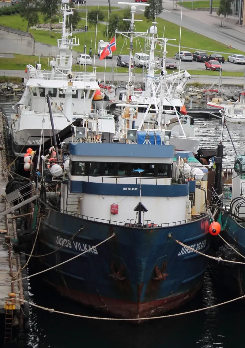 JUROS VILKAS General Cargo IMO 7814632 photo 6