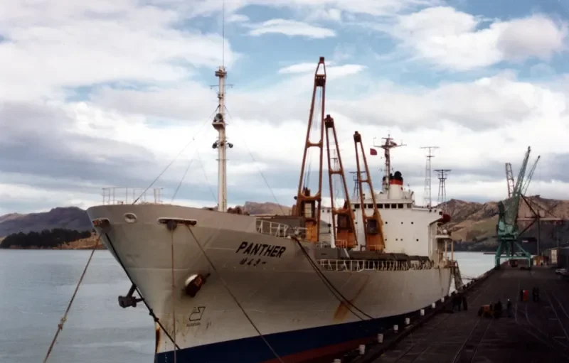 SELMA General Cargo IMO 7815179 photo 2