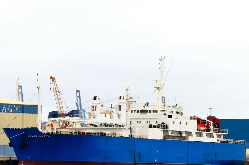 OKAPI MARTA General Cargo IMO 7816472 photo 2