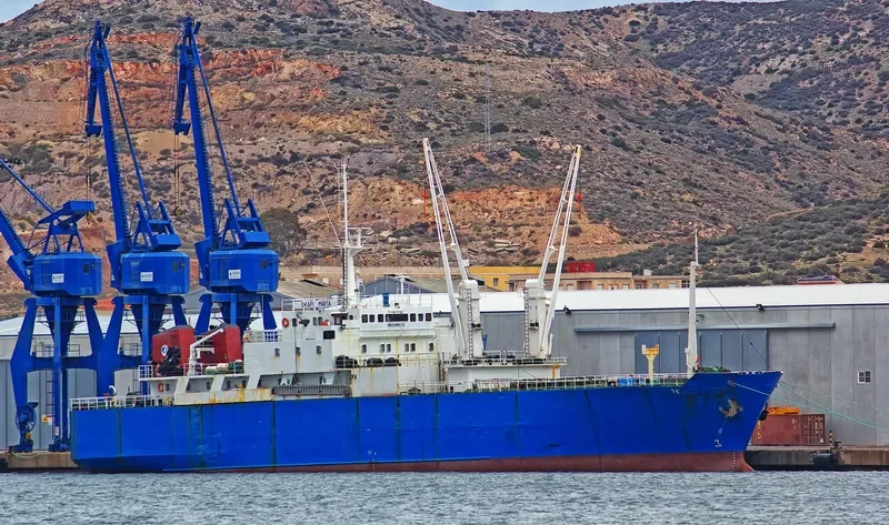 OKAPI MARTA General Cargo IMO 7816472 photo 5