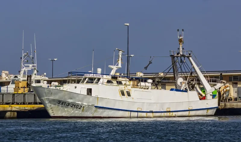 PAQUITA LA PEPETA General Cargo IMO 7816941