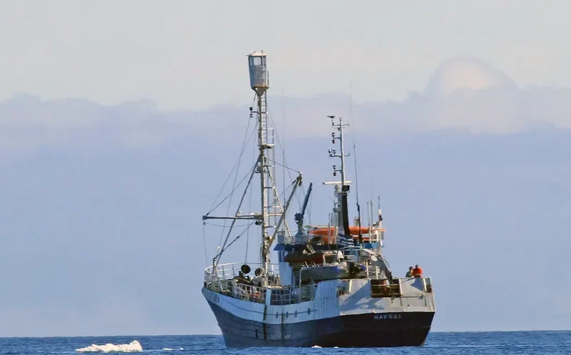 HAVSEL General Cargo IMO 7817256 photo 3