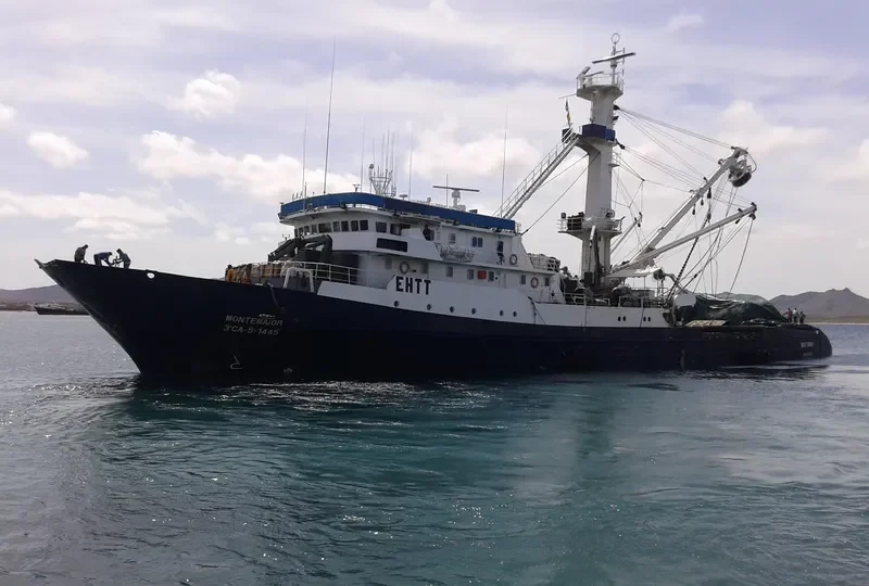 MONTEMAIOR General Cargo IMO 7817323