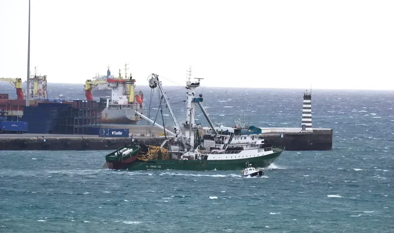 MONTEMAIOR General Cargo IMO 7817323 photo 3