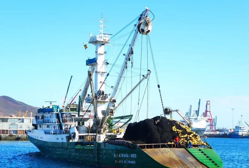 MONTEMAIOR General Cargo IMO 7817323 photo 4