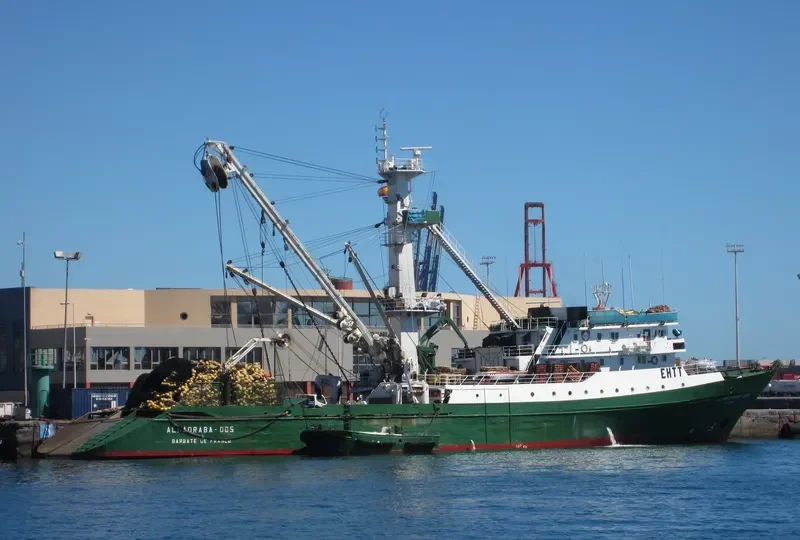 MONTEMAIOR General Cargo IMO 7817323 photo 5